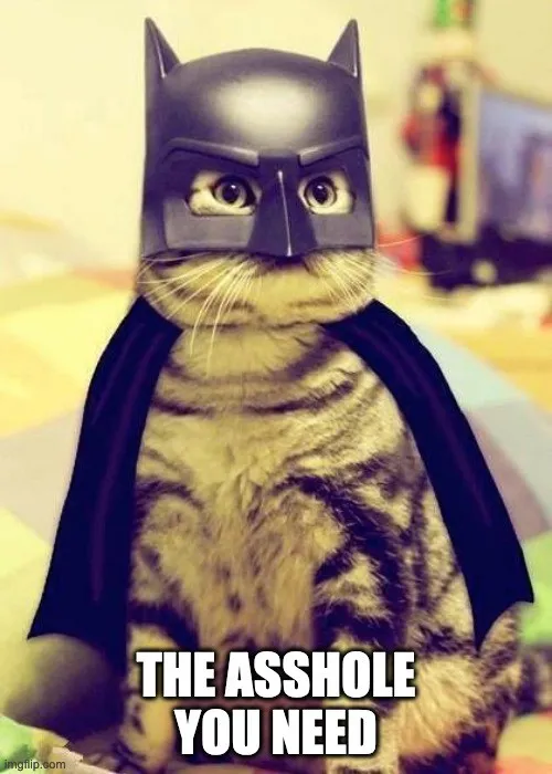 A cat in a Batman mask and cape, captioned “the asshole you need”