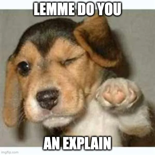 A winking puppy, captioned “lemme do you an explain”