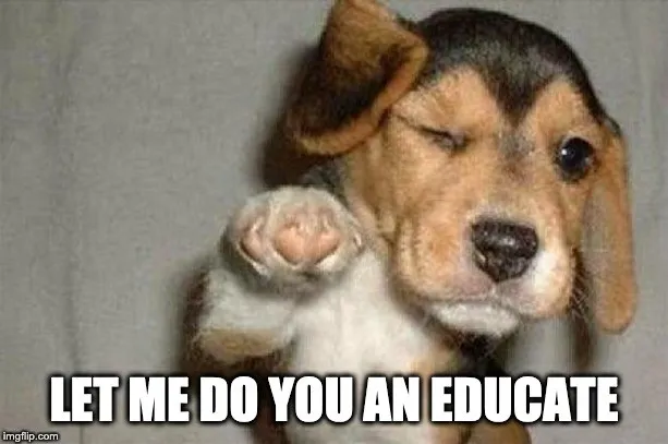 A winking puppy, captioned “let me do you an educate”